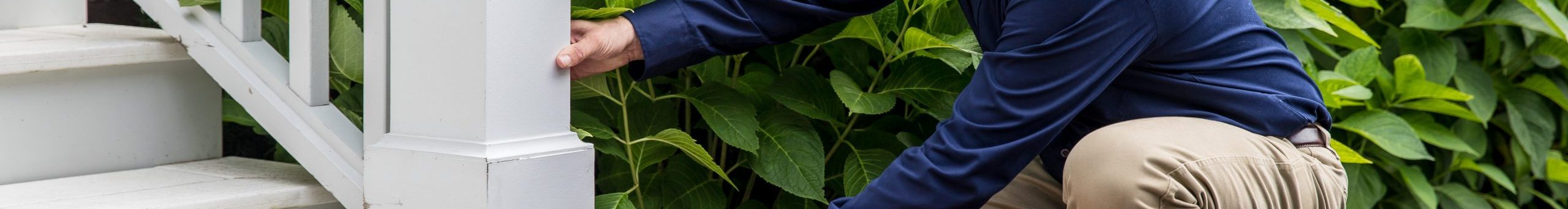 Pillar To Post Newsletter Volume 22, No. 5